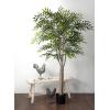 imageSullivans 80 Inch Smilax Tree Everyday Artificial Trees Fake Indoor Tree Artificial Greenery Dcor Living Room Office Entryway Home Dcor