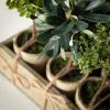 imageSullivans 85quot Artificial Potted Mini Tree Crate of 12 Everyday Home Decor Artificial Plants Indoor Artificial Greenery Room Kitchen Office ampamp Bathroom Dcor Fake Plants