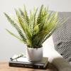 imageSullivans Artificial 14quot H Fern Plant in Decorative Pot Fake Fern Plant for Home Dcor