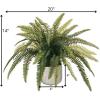 imageSullivans Artificial 14quot H Fern Plant in Decorative Pot Fake Fern Plant for Home Dcor