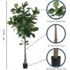 imageSullivans Artificial Fiddle Leaf Tree 72quot H Green Everyday Home Decor Artificial Plants Indoor Artificial Greenery Room Kitchen Office ampamp Bathroom Dcor Fake Plants