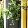 imageSullivans Artificial Fiddle Leaf Tree 72quot H Green Everyday Home Decor Artificial Plants Indoor Artificial Greenery Room Kitchen Office ampamp Bathroom Dcor Fake Plants