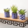 imageSullivans Artificial Succulent Trio in Printed Pots Set of 3 4quot H Green