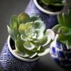 imageSullivans Artificial Succulent Trio in Printed Pots Set of 3 4quot H Green