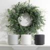 imageSullivans Blue Boxwood Decorative Artificial Wreath Wreaths for Front Door Front Porch Dcor Fake Plants Door Decorations 24 x 7 GreenTraditional