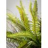 imageSullivans Fake Potted Fern Indoor Plant Indoor Artificial Plants for Your Home Home Office and Bathroom Dcor Pieces Artificial Greenery17
