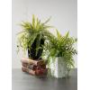 imageSullivans Fake Potted Fern Indoor Plant Indoor Artificial Plants for Your Home Home Office and Bathroom Dcor Pieces Artificial Greenery17