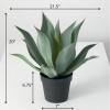 imageSullivans Faux Potted Agave Plant Indoor Artificial Greenery Dcor