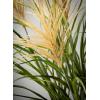 imageSullivans Potted Agave Reed