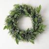 imageSullivans 22 Inch Eucalyptus and Sage Wreath Spring and Summer Artificial Wreath Everyday Wreath Front Door Wreaths Indoor ampamp Outdoor Wreaths Door Entryway Porch DcorESWR
