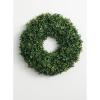 imageSullivans 23 Inch Boxwood Wreath Spring and Summer Artificial Wreath Everyday Wreath Front Door Wreaths Indoor ampamp Outdoor Wreaths Door Entryway Porch Dcor