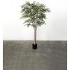 imageSullivans 80 Inch Smilax Tree Everyday Artificial Trees Fake Indoor Tree Artificial Greenery Dcor Living Room Office Entryway Home Dcor