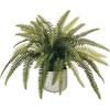 imageSullivans Artificial 14quot H Fern Plant in Decorative Pot Fake Fern Plant for Home Dcor