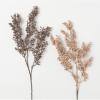 imageSullivans Artificial Dried Blush Berry Stem Set of 2 25quot H Brown