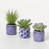 imageSullivans Artificial Succulent Trio in Printed Pots Set of 3 4quot H Green