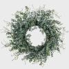 imageSullivans Blue Boxwood Decorative Artificial Wreath Wreaths for Front Door Front Porch Dcor Fake Plants Door Decorations 24 x 7 GreenTraditional