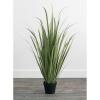 imageSullivans Faux Onion Grass Potted Plant Indoor Artificial Greenery Dcor