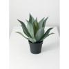 imageSullivans Faux Potted Agave Plant Indoor Artificial Greenery Dcor