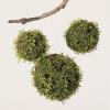 imageSullivans Set of 3 Mossy Orbs Decorative Filler 8quot H 6quot H ampamp 55quot H Green