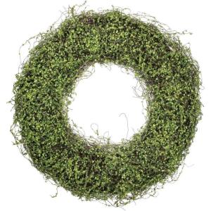 imageSullivans 22 Inch Vine Wreath Spring and Summer Artificial Wreath Everyday Wreath Front Door Wreaths Indoor ampamp Outdoor Wreaths Door Entryway Porch DcorVine