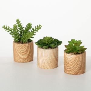 imageSullivans 7quot 5quot ampamp 45quot Mini Potted Succulent Set of 3 Everyday Home Decor Artificial Plants Indoor Artificial Greenery Room Kitchen Office ampamp Bathroom Dcor Fake Plants