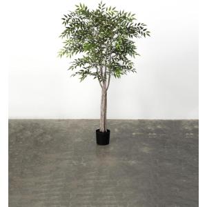 imageSullivans 80 Inch Smilax Tree Everyday Artificial Trees Fake Indoor Tree Artificial Greenery Dcor Living Room Office Entryway Home Dcor