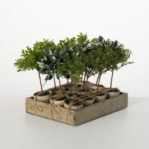 imageSullivans 85quot Artificial Potted Mini Tree Crate of 12 Everyday Home Decor Artificial Plants Indoor Artificial Greenery Room Kitchen Office ampamp Bathroom Dcor Fake Plants