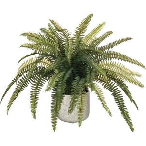 imageSullivans Artificial 14quot H Fern Plant in Decorative Pot Fake Fern Plant for Home Dcor