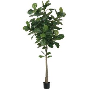 imageSullivans Artificial Fiddle Leaf Tree 72quot H Green Everyday Home Decor Artificial Plants Indoor Artificial Greenery Room Kitchen Office ampamp Bathroom Dcor Fake Plants