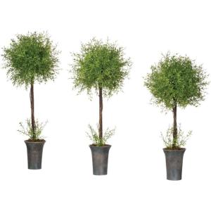 imageSullivans Artificial Potted Feather Ferns 23  30 Inches Set of 3 01963TOP