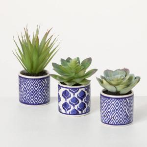imageSullivans Artificial Succulent Trio in Printed Pots Set of 3 4quot H Green