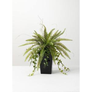 imageSullivans Fake Potted Fern Indoor Plant Indoor Artificial Plants for Your Home Home Office and Bathroom Dcor Pieces Artificial Greenery17