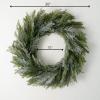 imageSullivans 28quot Frosted Green Cedar Wreath Artificial Greenery Flowers Everyday Seasonal Wreaths Indoor ampamp Outdoor Wreaths for Front Door Entryway Porch DcorNorfolk Island