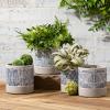 imageSullivans Abstract Cement Pot  Set of 4 Indoor Planter Pot Kitchen Living Room and Office Home Dcor