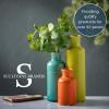 imageSullivans Ceramic Vase Set Modern Home Decor Decorative Vase Vases for Your Kitchen Bedroom Office Living Room Bathroom ampamp Shelf Decor Centerpiece Table Decorations Small Vases CM3038Multicolor