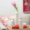 imageSullivans Ceramic Vase Set Modern Home Decor Decorative Vase Vases for Your Kitchen Bedroom Office Living Room Bathroom ampamp Shelf Decor Centerpiece Table Decorations Small Vases CM3038Distressed White