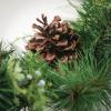 imageSullivans Christmas Artificial Mixed Pine Garland Christmas Decorations Christmas Garland Christmas Garland for Mantle Mantle Decorations Mantle Garland Christmas Pine Garland Green 72quot LGD592