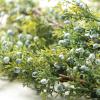 imageSullivans Christmas Artificial Mixed Pine Garland Christmas Decorations Christmas Garland Christmas Garland for Mantle Mantle Decorations Mantle Garland Christmas Pine Garland Green 72quot LJuniper Pine
