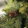 imageSullivans Christmas Artificial Mixed Pine Garland Christmas Decorations Christmas Garland Christmas Garland for Mantle Mantle Decorations Mantle Garland Christmas Pine Garland Green 72quot LAlpine
