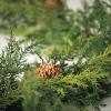 imageSullivans Christmas Garland 9 Ft Arborvitae Garland Realistic LifeLike Green with Pinecones Garland Indoor Holiday Dcor Perfect for Fireplace Mantle Weddings Dining ampamp Living Room Winter Garland6 Ft Pinecone
