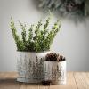 imageSullivans Christmas Weathered Metal Tree Planters Set of 3 Christmas Decorations Christmas Decor Holiday Decor White 7 inches Tall