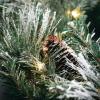 imageSullivans Prelit 24quot Christmas Wreath Christmas Decor Flocked Christmas Door Wreath with Lights Lighted Pine Christmas Wreath Christmas Decorations Pinecones Gold Accents and Battery TimerFlocked