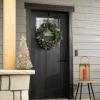 imageSullivans Prelit 24quot Christmas Wreath Christmas Decor Flocked Christmas Door Wreath with Lights Lighted Pine Christmas Wreath Christmas Decorations Pinecones Gold Accents and Battery TimerRed Berries