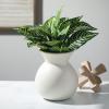 imageSullivans White Ceramic Flower Vase Modern Home Decor Vases for Flowers Vases for Centerpieces Mantle Tabletop Accent Table Vases Kitchen Living Room and Office Decor CM3142Ivory