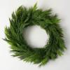 imageSullivans 28quot Frosted Green Cedar Wreath Artificial Greenery Flowers Everyday Seasonal Wreaths Indoor ampamp Outdoor Wreaths for Front Door Entryway Porch DcorLush Green Large