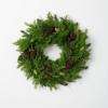 Hemlock