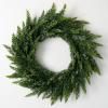 imageSullivans 28quot Frosted Green Cedar Wreath Artificial Greenery Flowers Everyday Seasonal Wreaths Indoor ampamp Outdoor Wreaths for Front Door Entryway Porch DcorFrosted Green