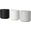 imageSullivans Ceramic Planter Set  3 Small Planters Contemporary Home Dcor Modern Farmhouse Ideal Shelf Dcor Table Dcor Bookshelf Mantle Entryway MultiColor CM2969