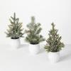 imageSullivans Potted Pine Tree Set3 Christmas Dcor Trees Holiday Decor Christmas Tabletop Trees Mantle Decor Christmas Decorations