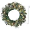 imageSullivans Prelit 24quot Christmas Wreath ampamp Hanger Bundle Flocked Christmas Door Wreath with Lights Lighted Pine Christmas Wreath Christmas Decorations Pinecones Gold Accents and Battery Timer